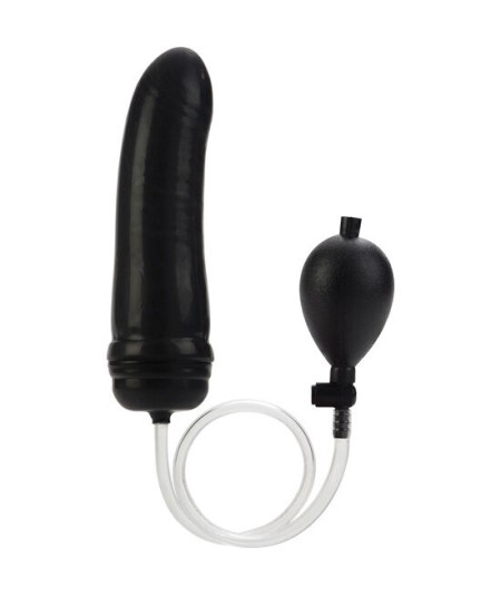 CALEX COLT PLUG ANAL HINCHABLE