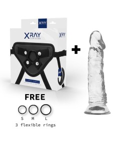 XRAY ARNÉS + DILDO TRANSPARENTE 19CM X 4CM