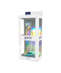 XRAY ARNÉS + DILDO TRANSPARENTE 19CM X 4CM