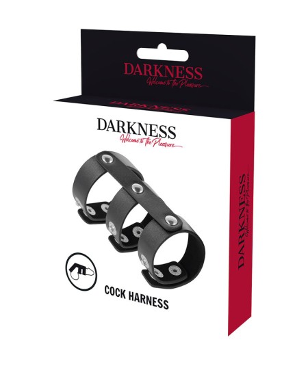 DARKNESS ANILLO DOBLE PENE Y TESTICULOS AJUSTABLE LEATHER