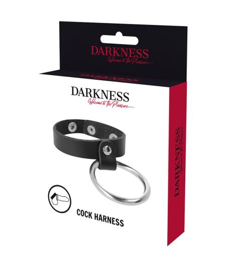 DARKNESS ANILLO DE METAL PARA EL PENE Y TESTÍCULOS