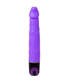 BAILE VIBRATOR MULTI-SPEED 21.5 CM MORADO