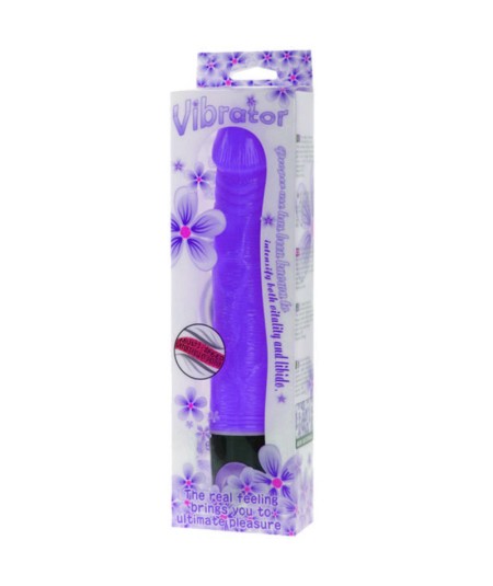 BAILE VIBRATOR MULTI-SPEED 21.5 CM MORADO