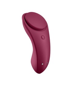 SATISFYER SEXY SECRET PANTY