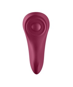 SATISFYER SEXY SECRET PANTY