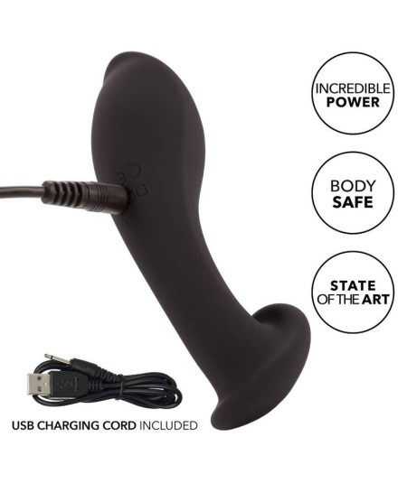 CALIFORNIA EXOTICS LIQUID SILICONE FLEX PROBE