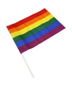 PRIDE - BANDERIN GRANDE BANDERA LGBT