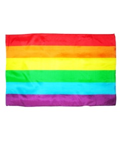 PRIDE - BANDERA GRANDE LGBT