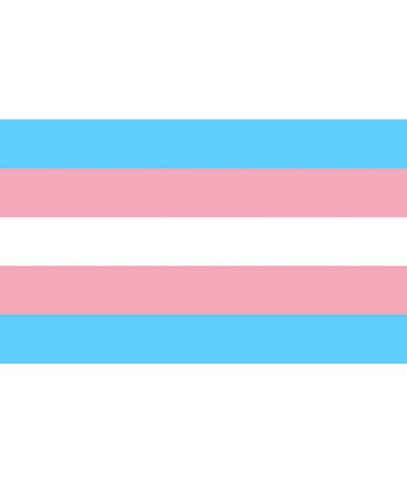 PRIDE - BANDERA 90 X 150 TRANSEXUAL