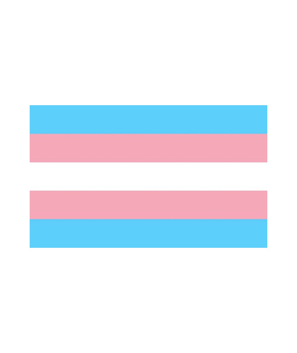 PRIDE - BANDERA 90 X 150 TRANSEXUAL