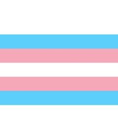 PRIDE - BANDERA 90 X 150 TRANSEXUAL