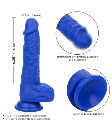 CALEXOTICS - ADMIRAL SAILOR DILDO REALISTICO VIBRADOR AZUL