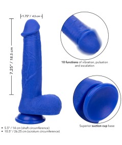 CALEXOTICS - ADMIRAL CAPTAIN DILDO REALISTICO VIBRADOR AZUL