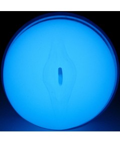 KIIROO - FEEL GLOW IN THE DARK STROKER