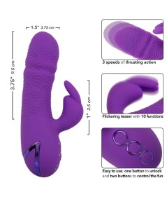 CALEXOTICS - MANHATTAN BEACH MARVEL VIBRADOR RABBIT MORADO BY CALIFORNIA DREAMING