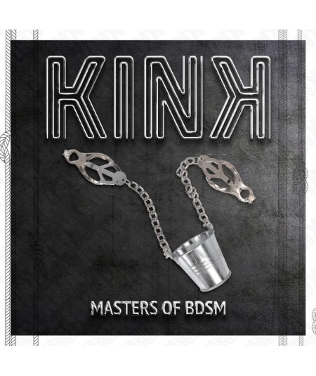 KINK - PINZAS PARA PEZONES CON CUBO PLATEADO