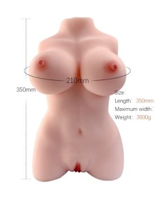 ARMONY - TORSO FEMENINO REALISTICO MODELO 3