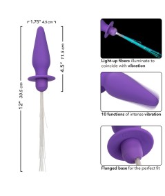 CALEXOTICS - SOUTHERN LIGHTS LIGHT UP PLUG ANAL CON LUCES 10 VIBRACIONES SILICONA VIOLETA